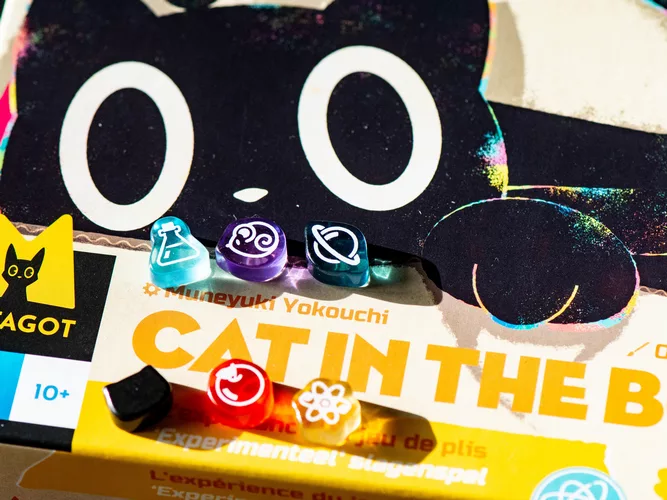 Test et avis sur le jeu Cat in the Box 1